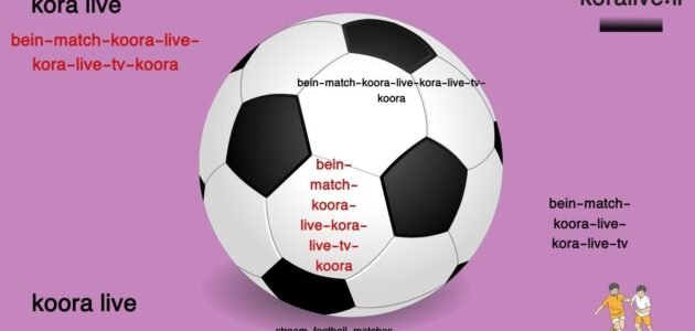 French team in the semi-finals of Paris Olympics 2024